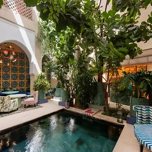 Due Marrakesh